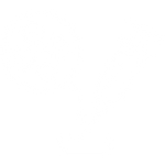 Untitled design 24